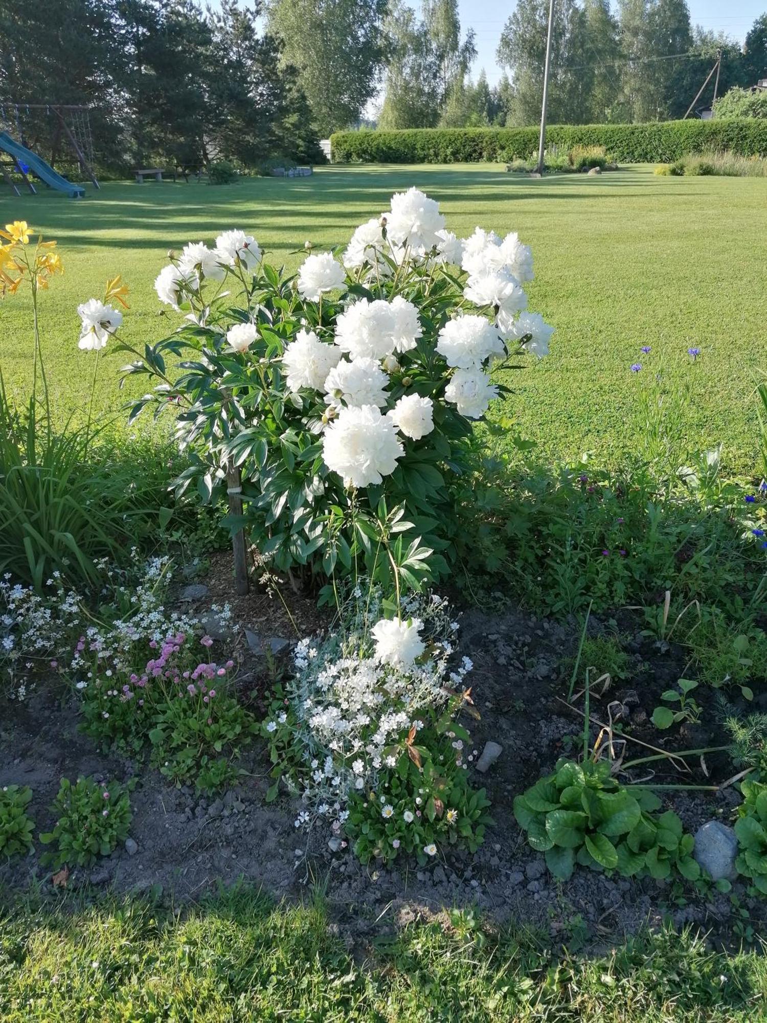Villa River Rose Jõesuu Exterior foto